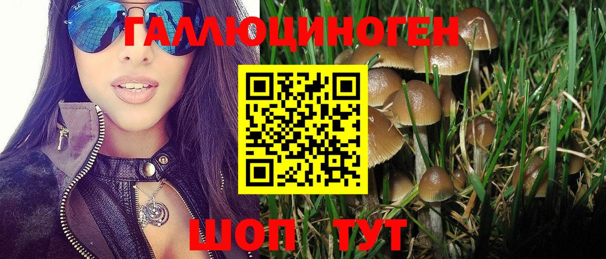 Псилоцибиновые грибы мухоморы  Вход с VPN  Отрадный 